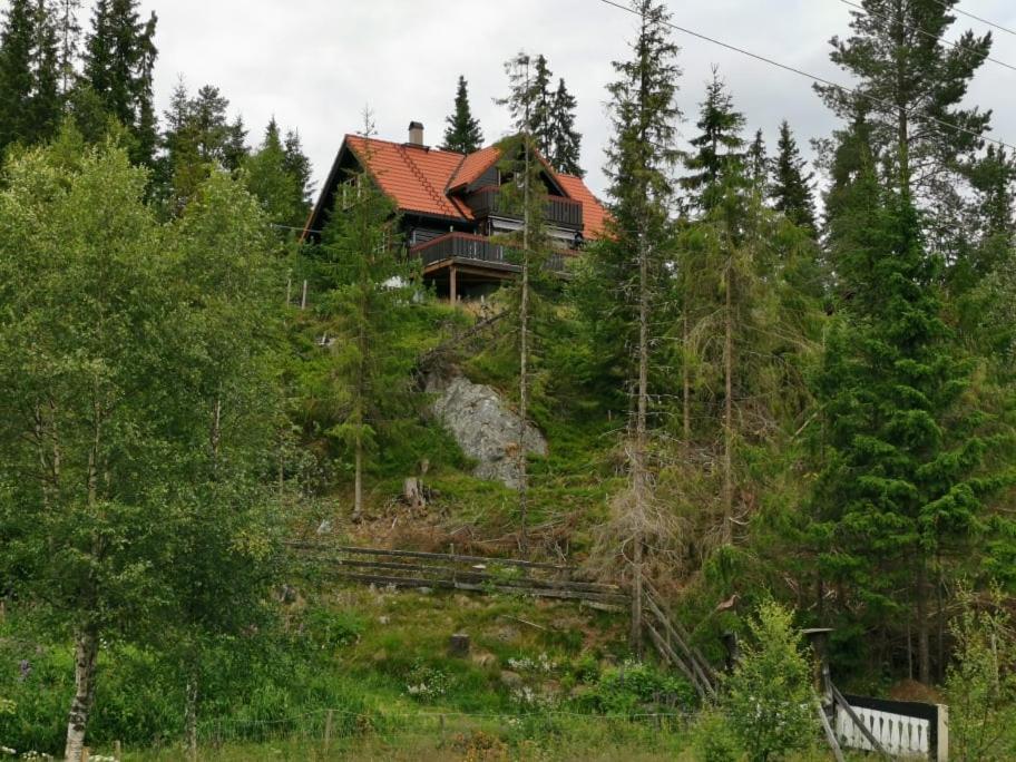 Casa San Gottardo - The Forest House, Etnedal ภายนอก รูปภาพ